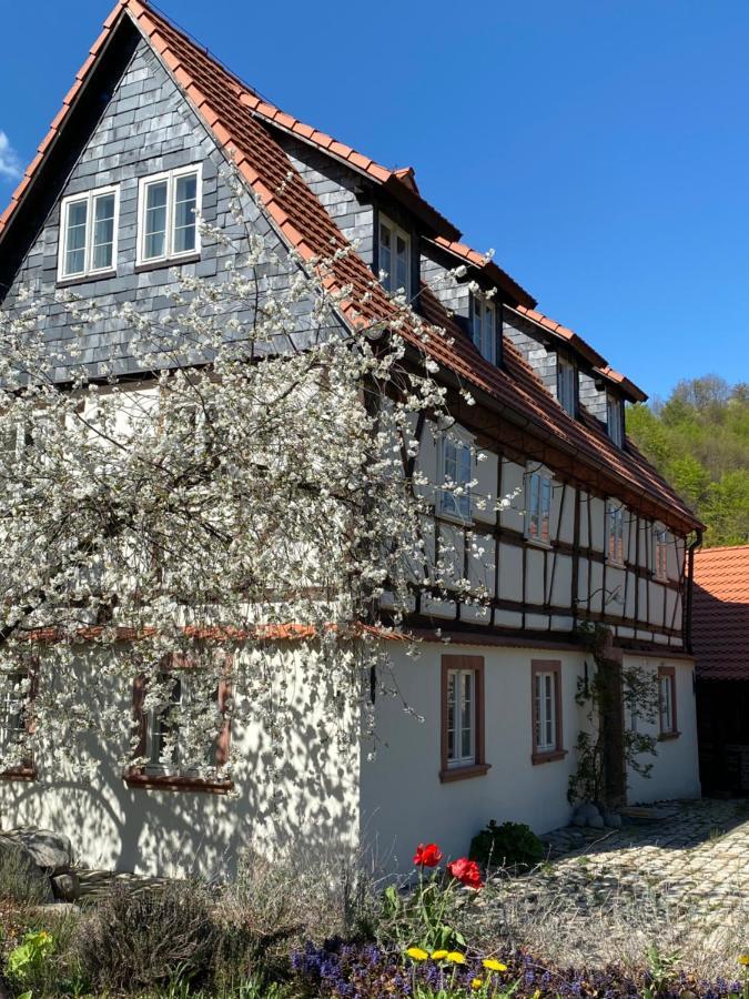 Appartamento Dom Tkacza Pieszyce Esterno foto