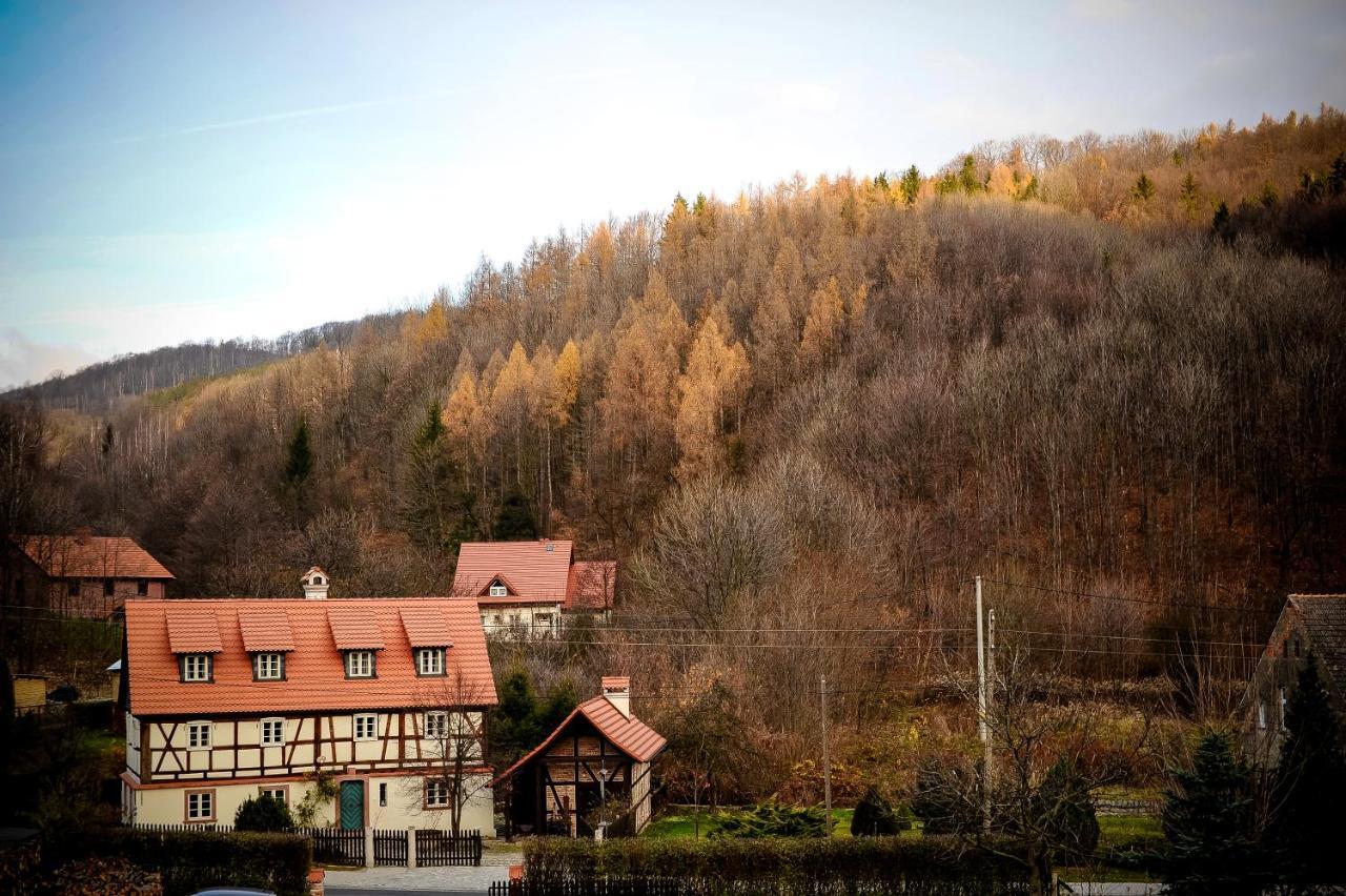 Appartamento Dom Tkacza Pieszyce Esterno foto