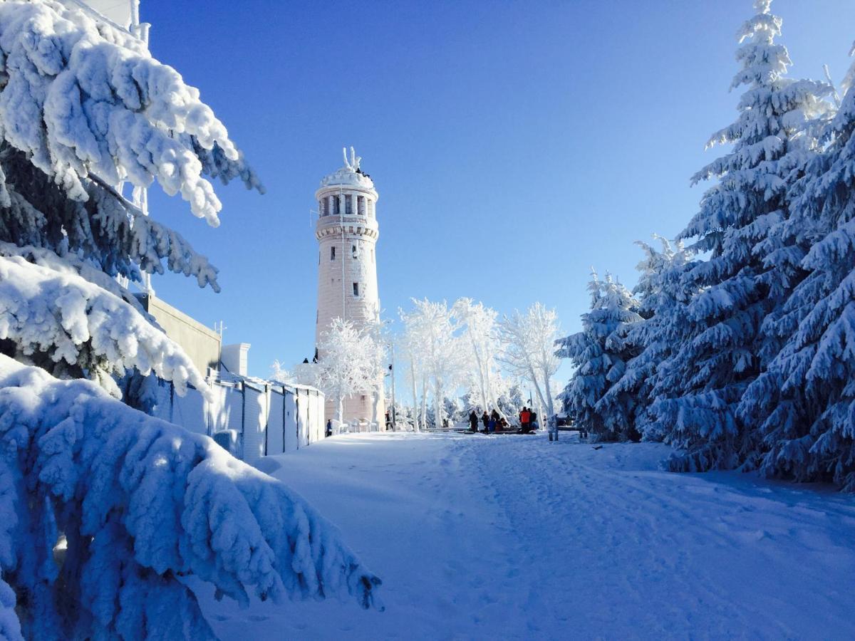 Appartamento Dom Tkacza Pieszyce Esterno foto